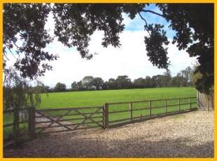 PADDOCKS