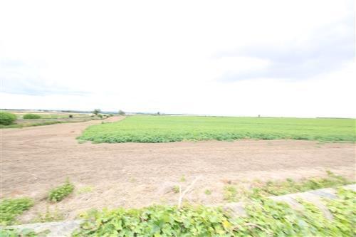 P000607L.jpg