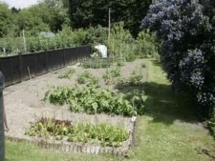 Allotment area