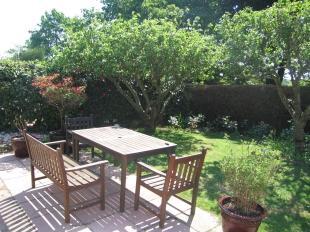 Rear Patio Area