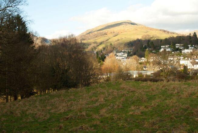 View from Communal Garden
