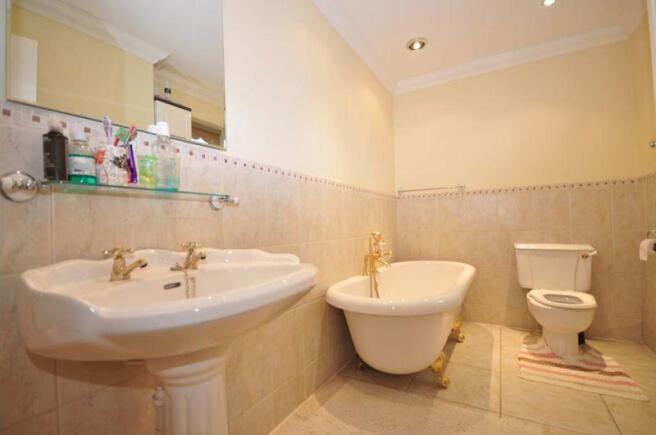 Photo 7