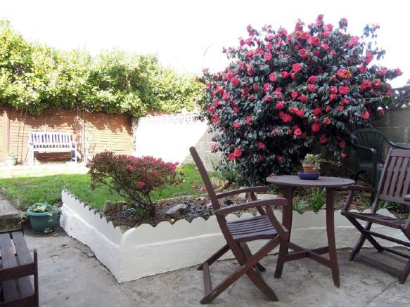 Photo 7