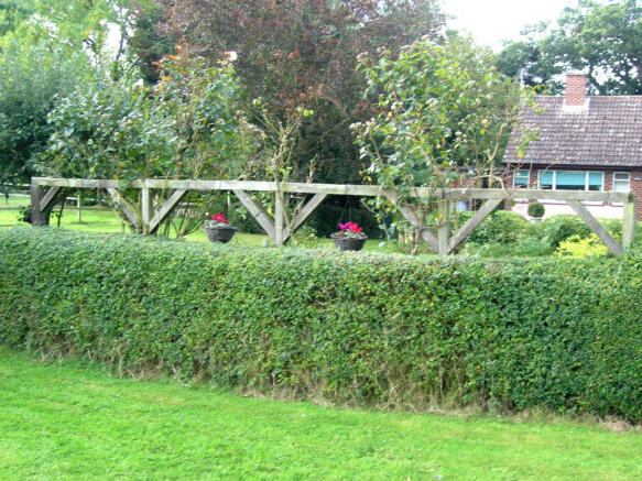 Photo 7