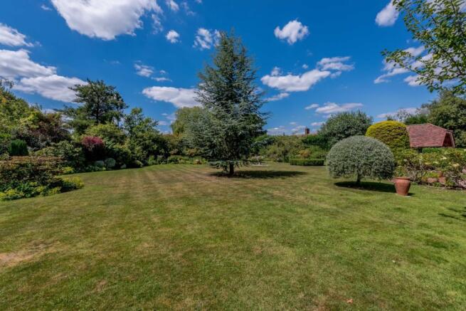 Lawn