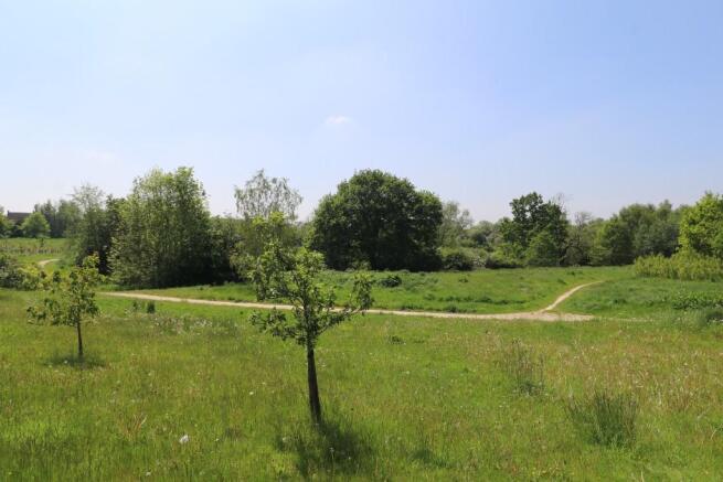 Local Walks