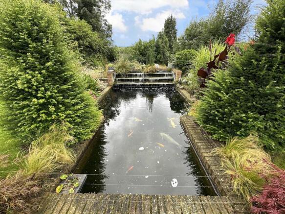 Garden Pond