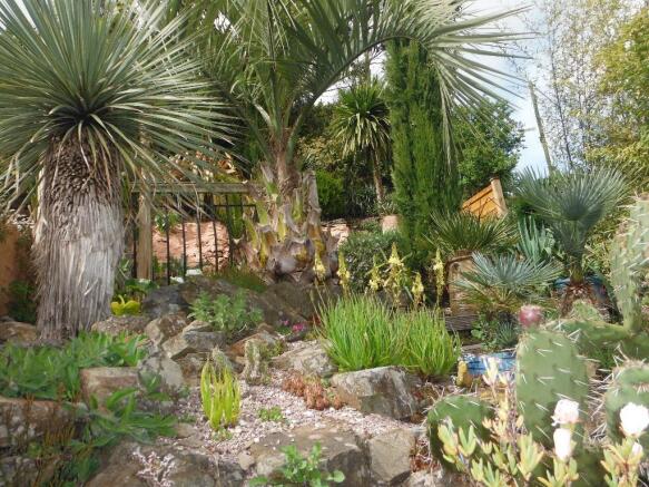 Garden Aspect 2