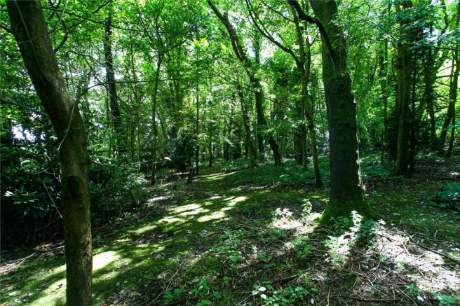 Mature Woodland