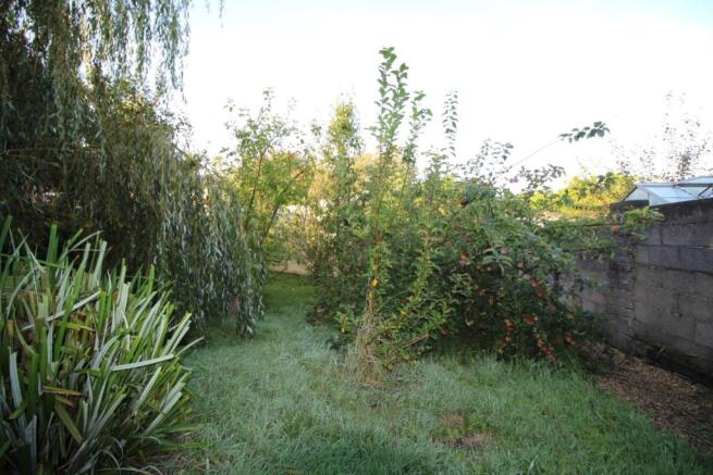 Photo 26