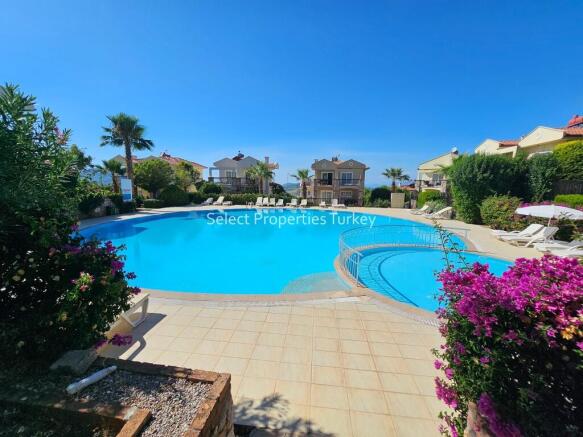 The pool