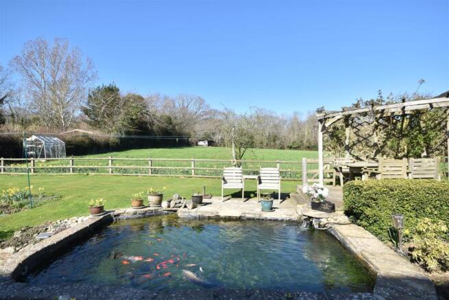 Pond / Terrace