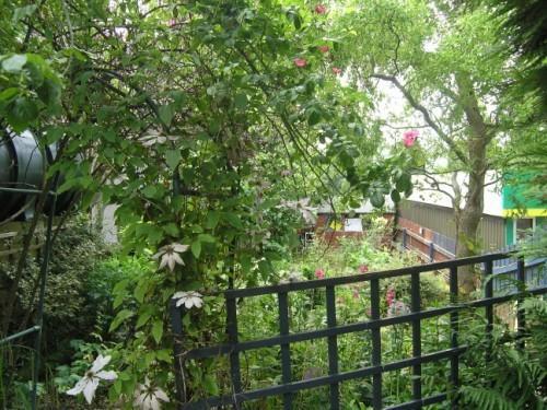 Photo 10