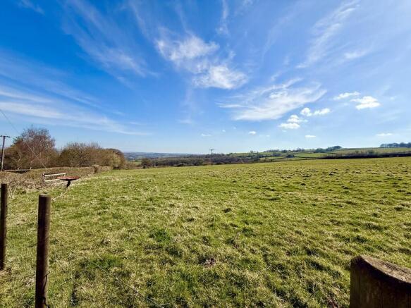 Field Views