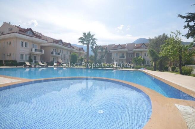 Large Pool