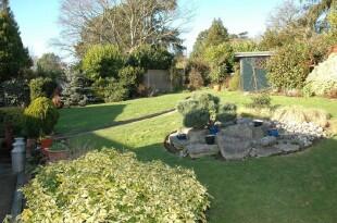 Garden Shot 2