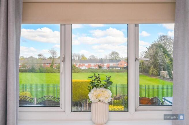 Window View