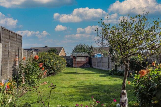 Garden at Back
