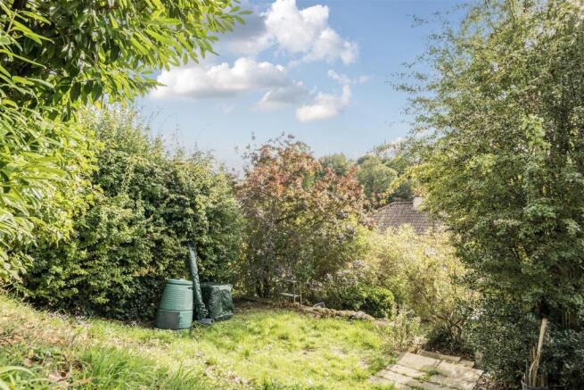 Rear Garden III.jpg
