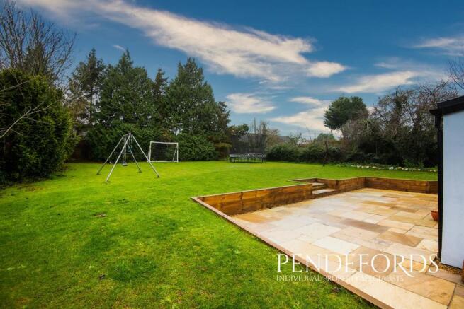 Back Garden 1.jpg