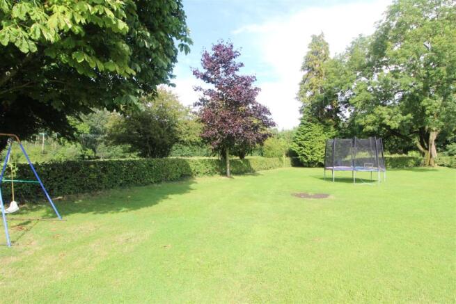 Garden 3.JPG