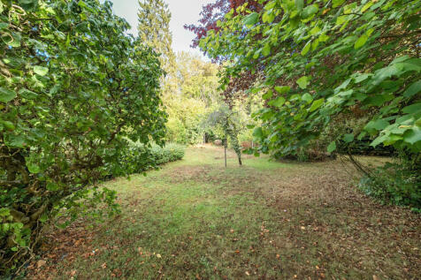 White Rose Lane, Woking