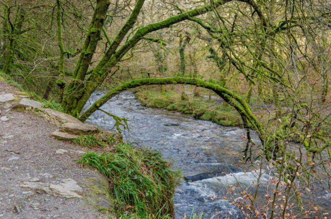 1416854-7-699dea1...