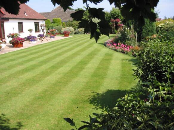 rear garden in the