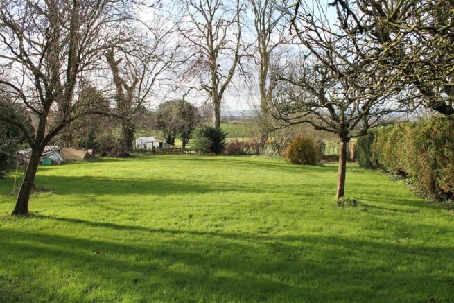 Garden 2.JPG