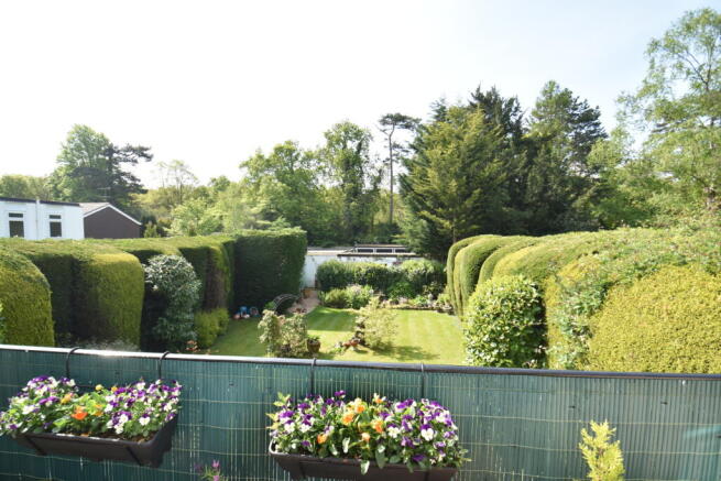View from Balcony