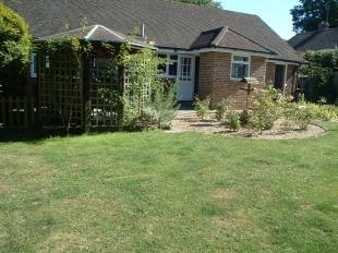Garden Shot 3