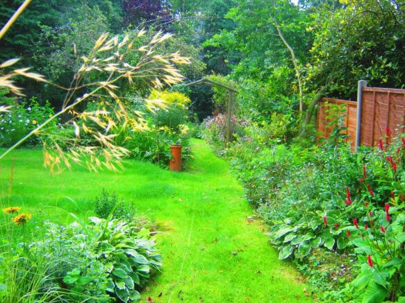 Garden in Summer