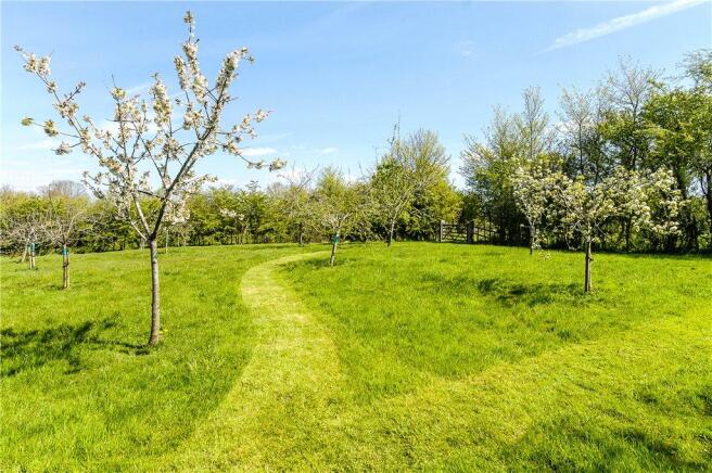 Orchard