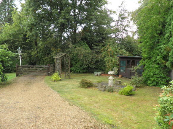 Photo 7
