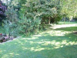 garden2