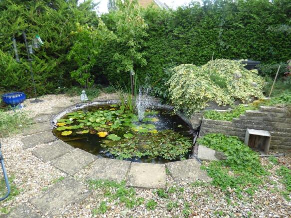 Pond