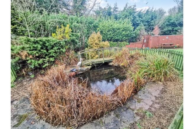 Pond