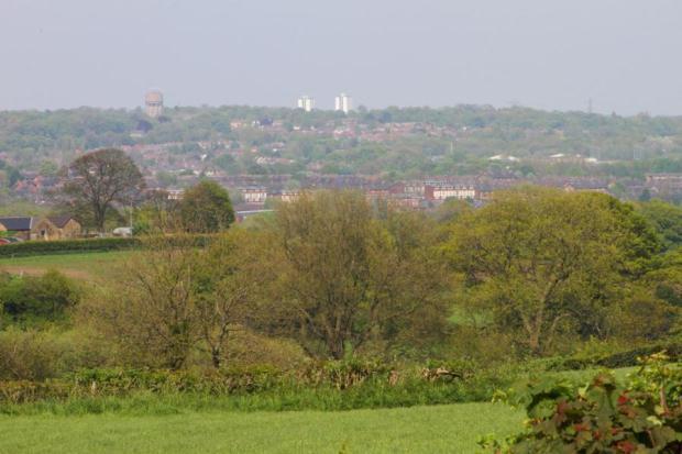 View