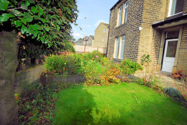 Photo 7