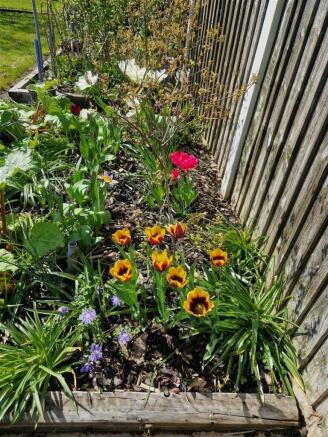Garden.jpg