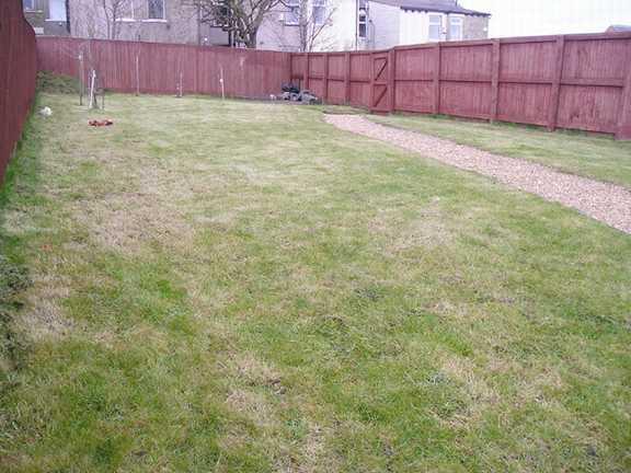 Garden 2