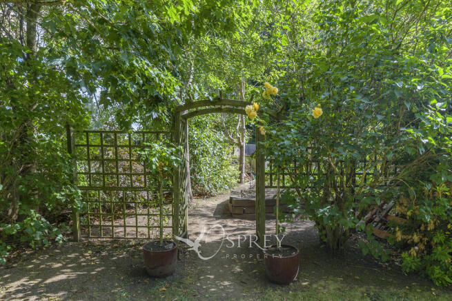 Vegetable Garden