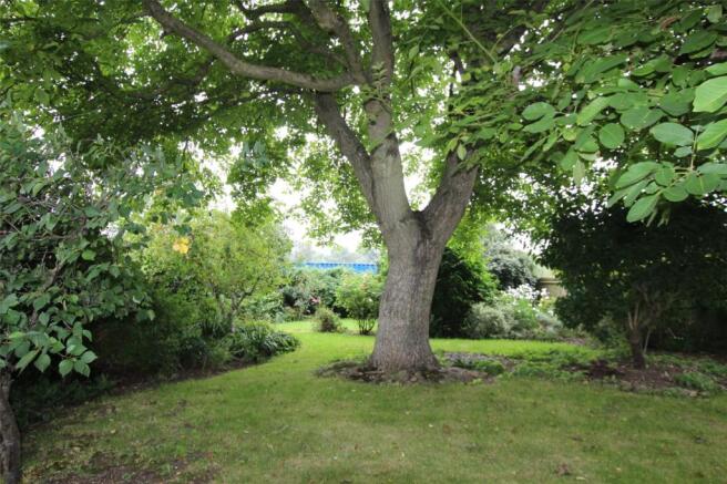 Garden 1
