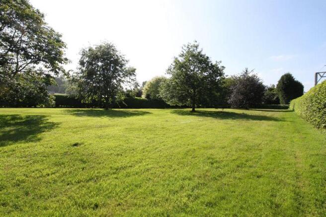 new paddock pic 2