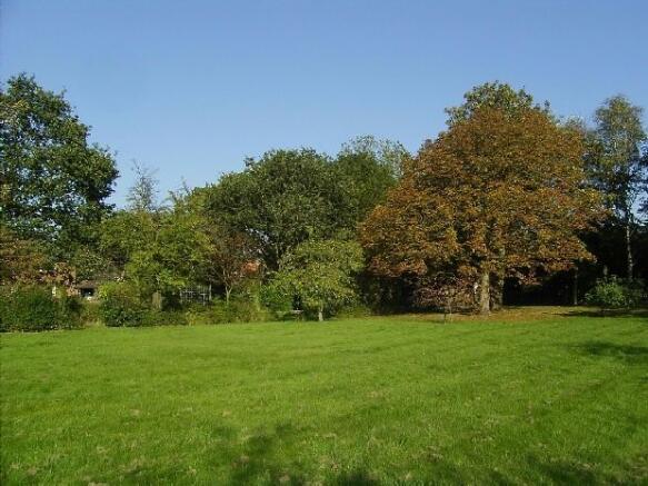 Garden Pic 4