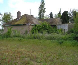 Rear Side