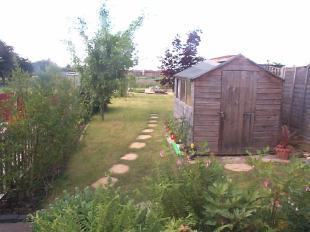 Picture 4