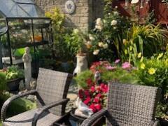 Garden in the summer 