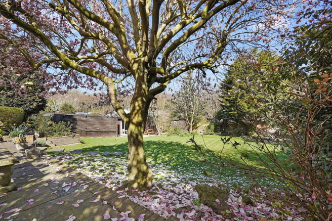 Photo 45
