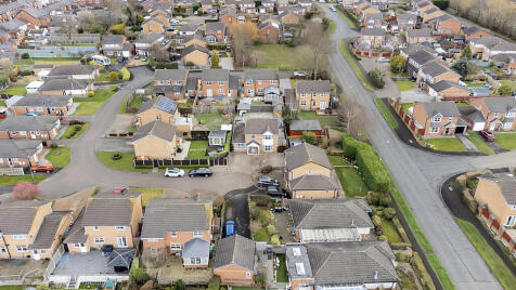 Fieldfare, Winsford, Cheshire